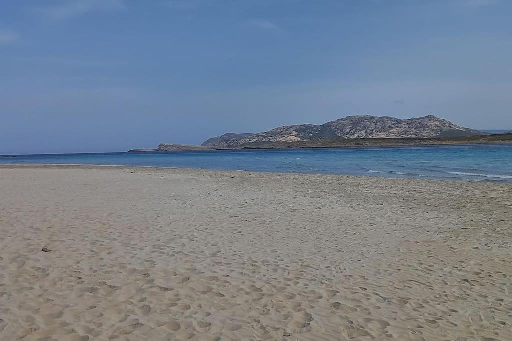 Casa Vacanze Con Giardino I Girasoli - Cin It 09006 - 9 C 2000 R4042- Sorso Εξωτερικό φωτογραφία