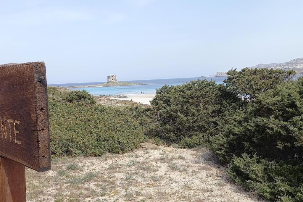 Casa Vacanze Con Giardino I Girasoli - Cin It 09006 - 9 C 2000 R4042- Sorso Εξωτερικό φωτογραφία